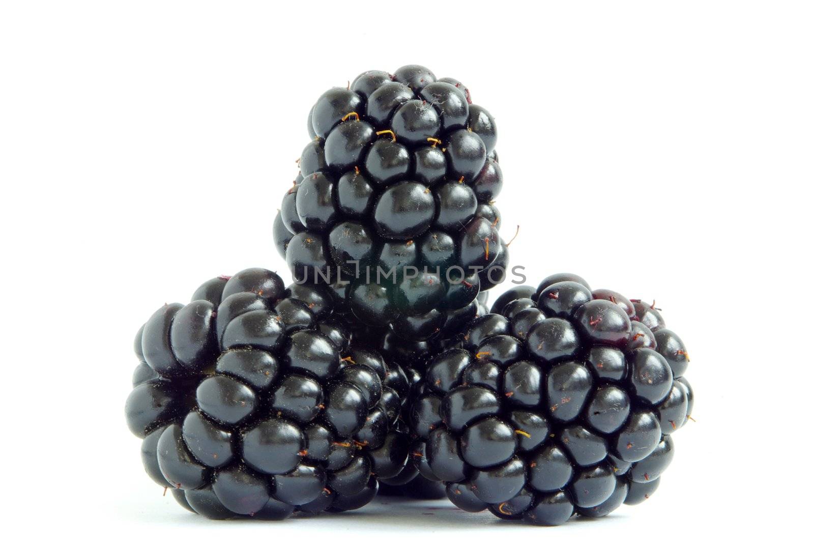 blackberry isolated on white background