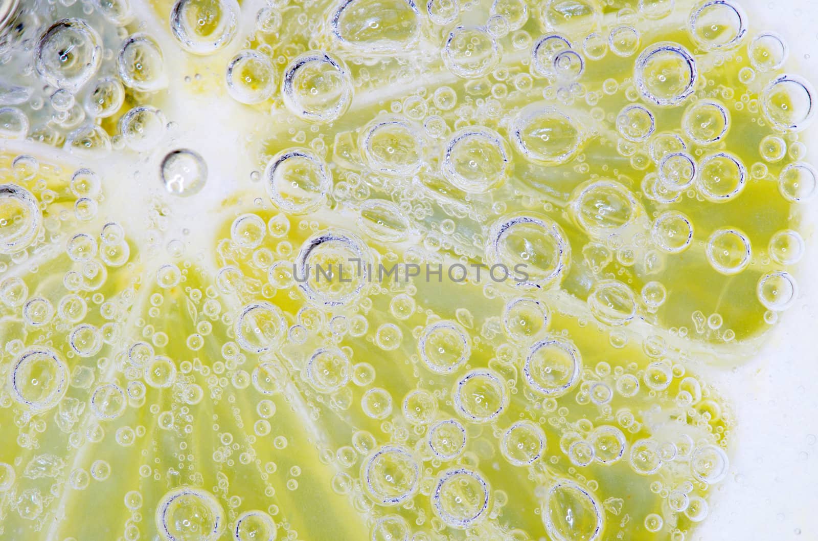Close-up of a lemon slice with bubbles