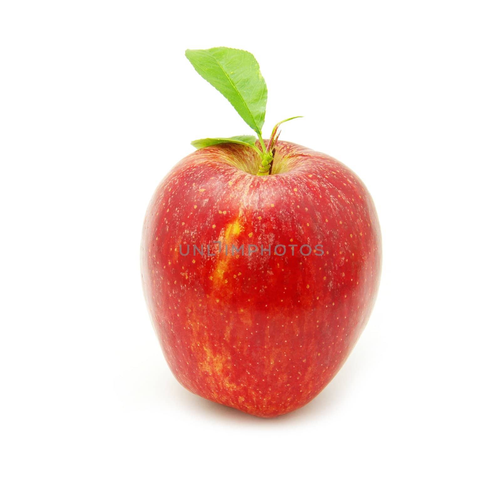 Ripe apple on a white background