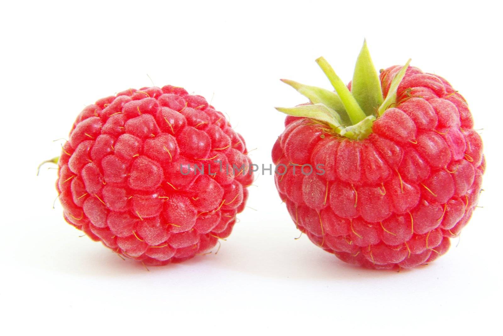fresh raspberry closeup isolated on white background