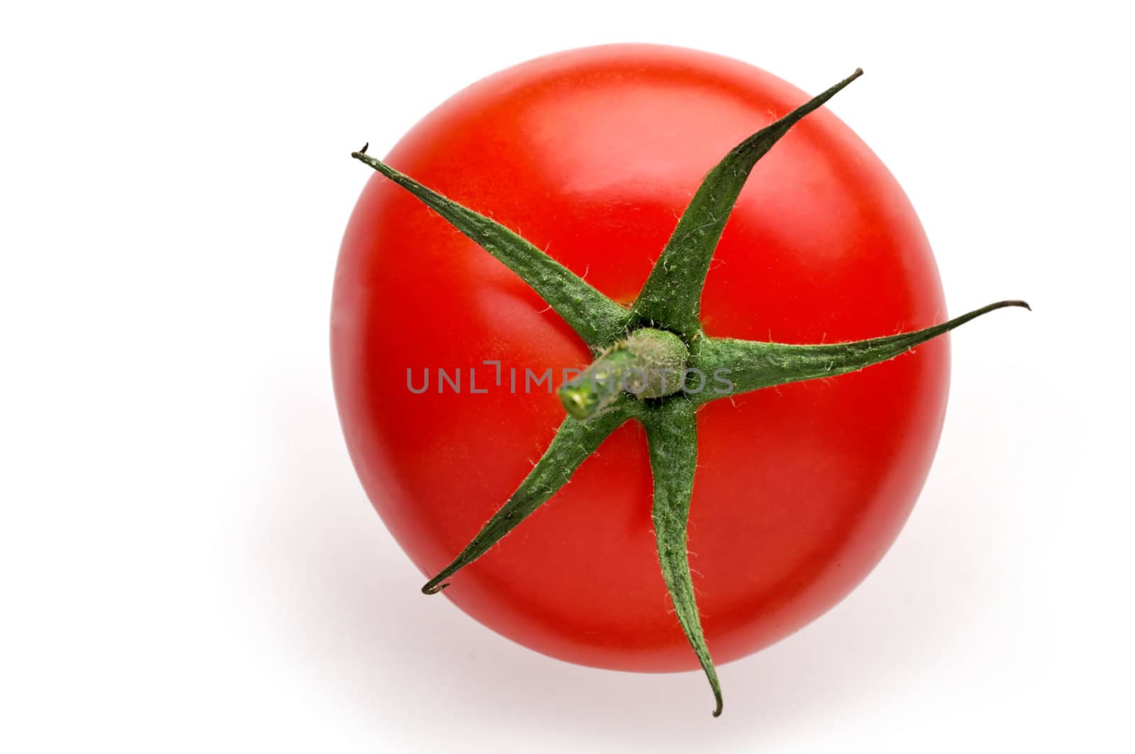 isolated tomato top with clipping path by Laborer