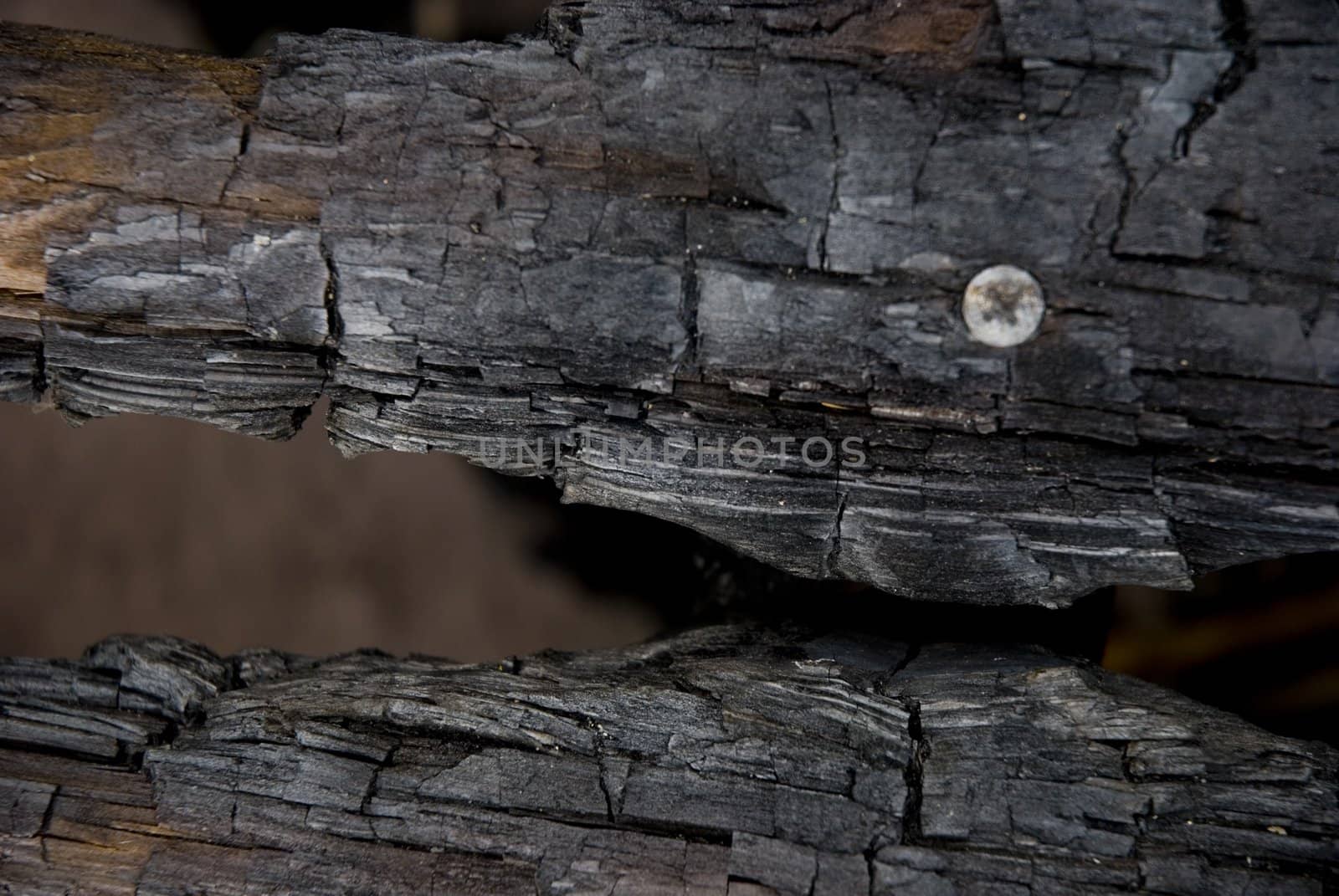 
High resolution burnt wood texture. (Oak) 
