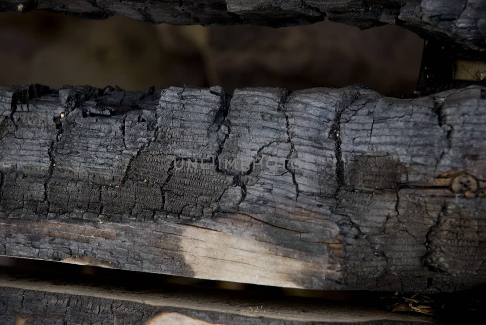 
High resolution burnt wood texture. (Oak) 
