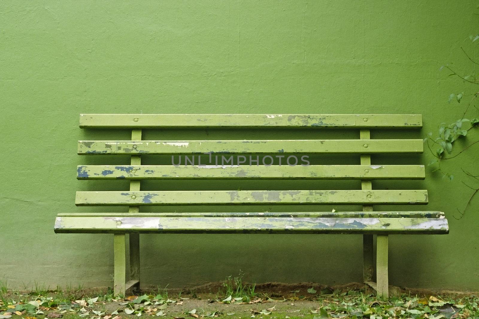 Green Bench. Bank im Grünen