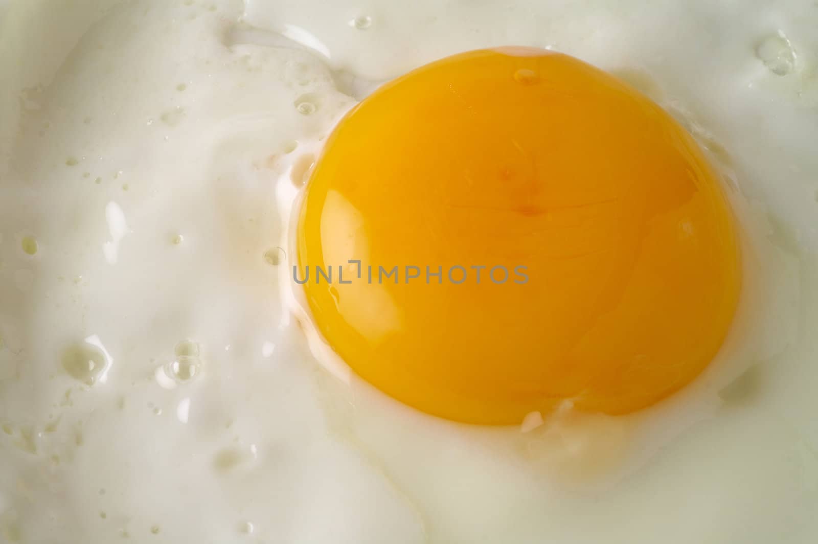Fried egg closeup (1)