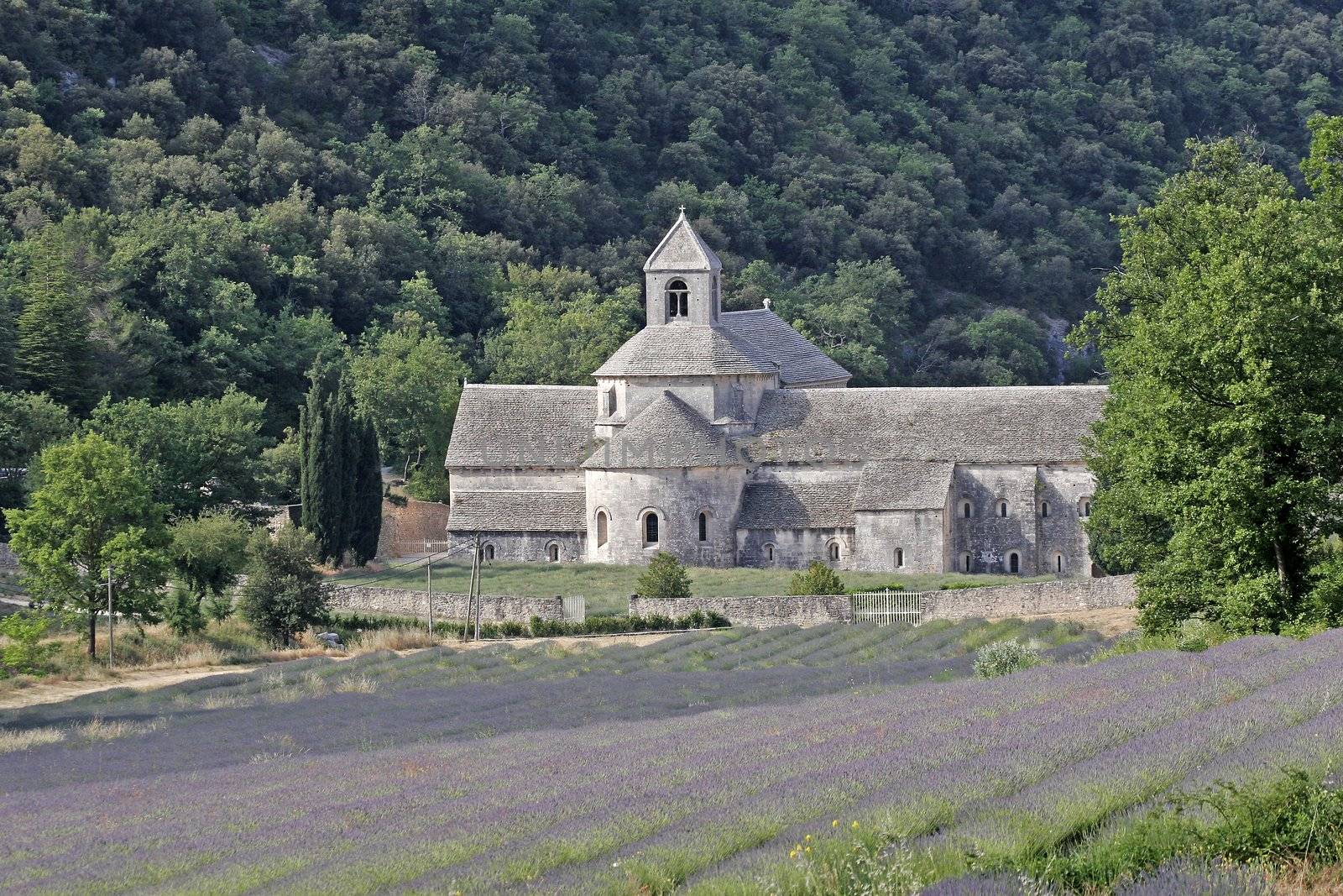 Abbaye Notre-Dame de Senanque by Natureandmore
