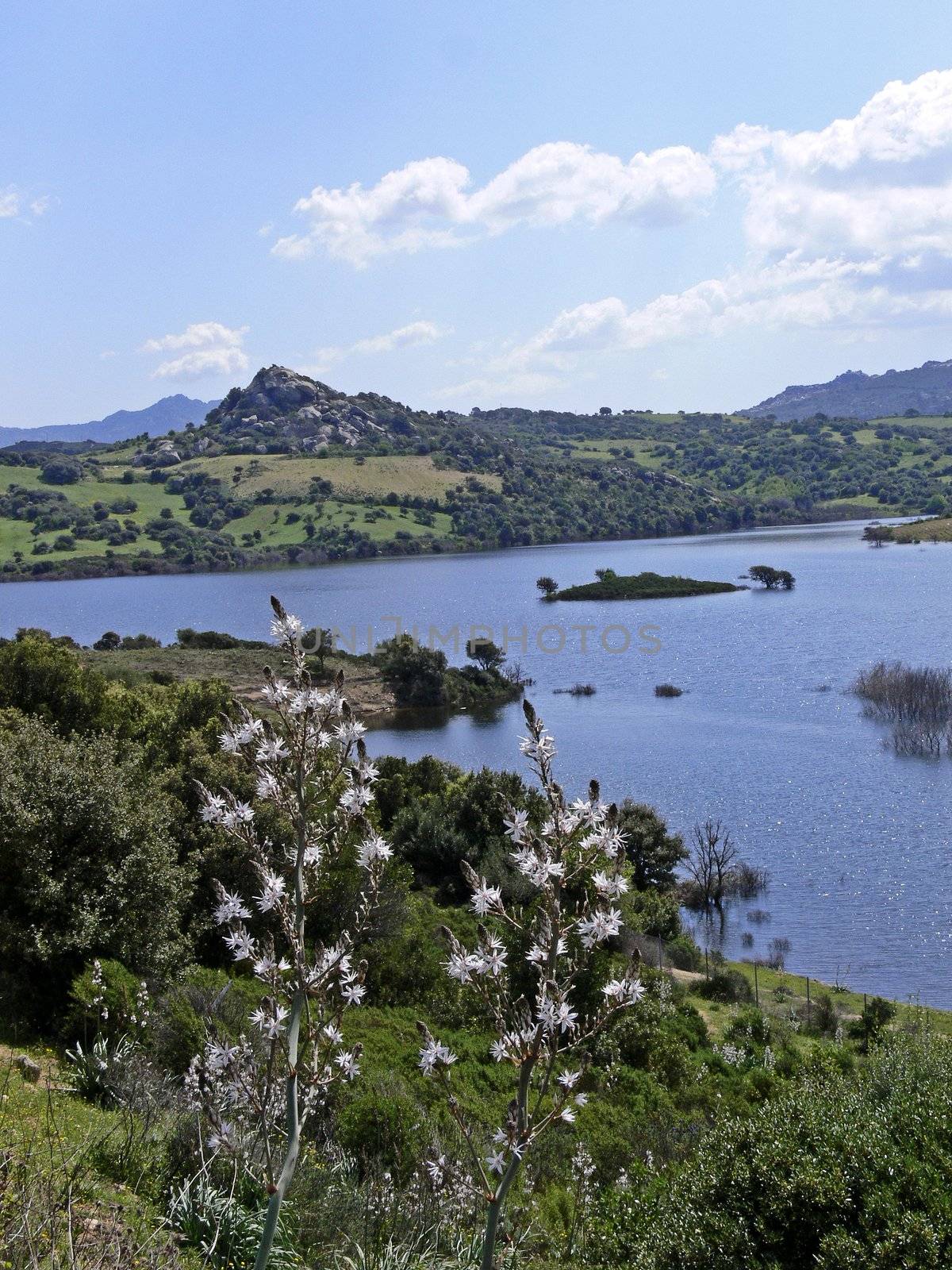 At the Lago della Liscia, Lake landscape on Sardinia. by Natureandmore