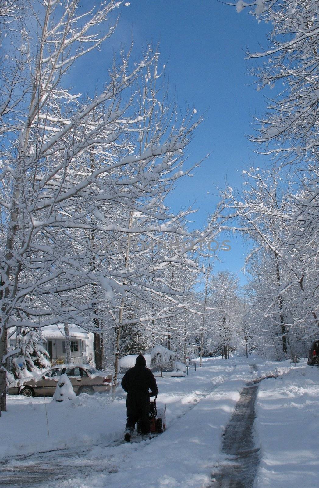 The day after the first storm of the season