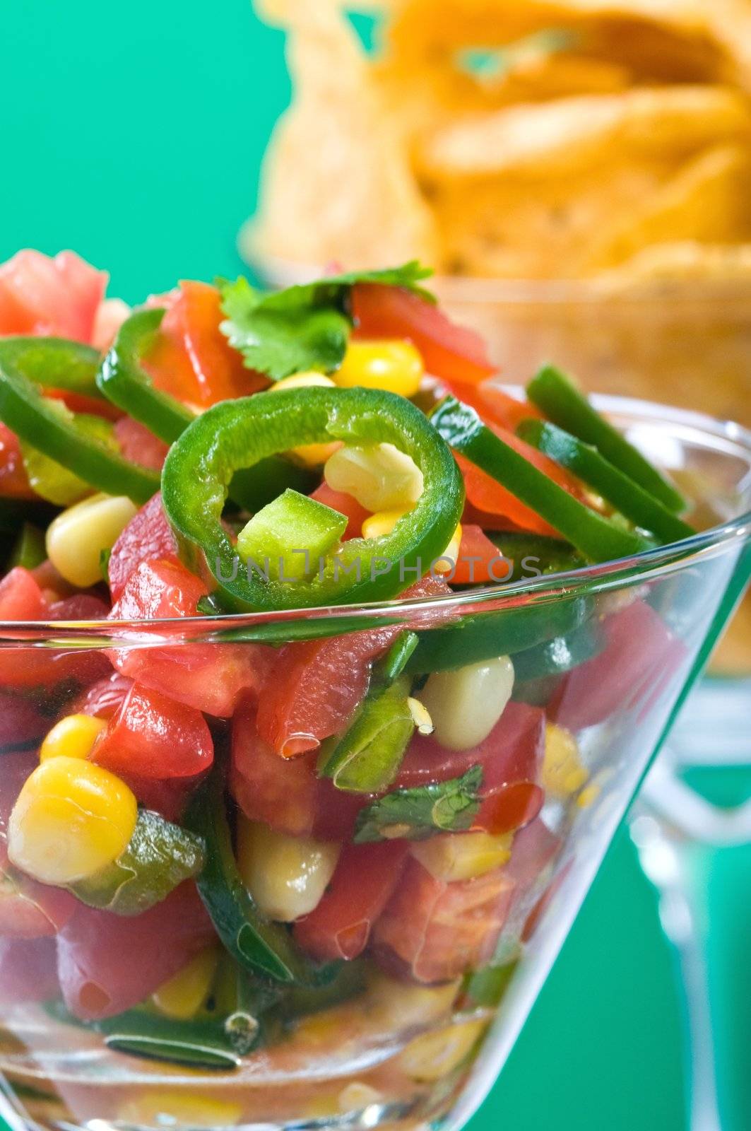 Closeup of gourmet salsa served with corn chips.