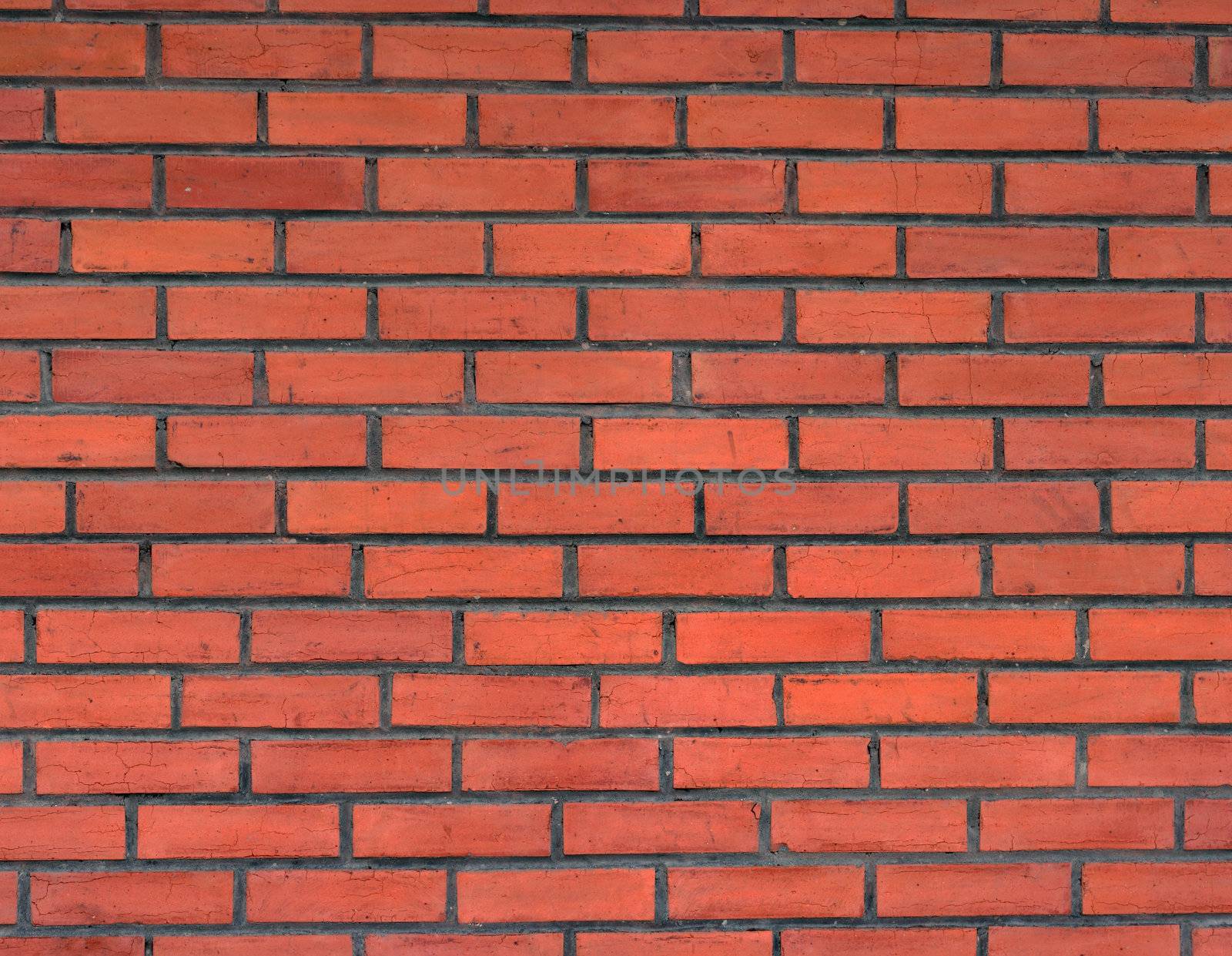 new wall made of clay bricks