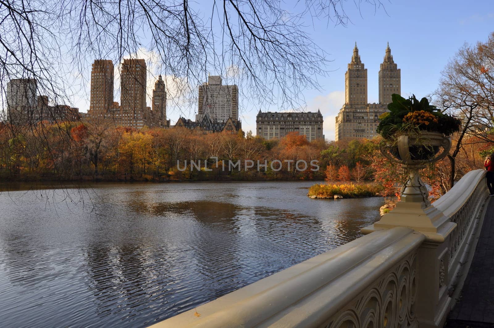 The Bow bridge in Central Park, NY.