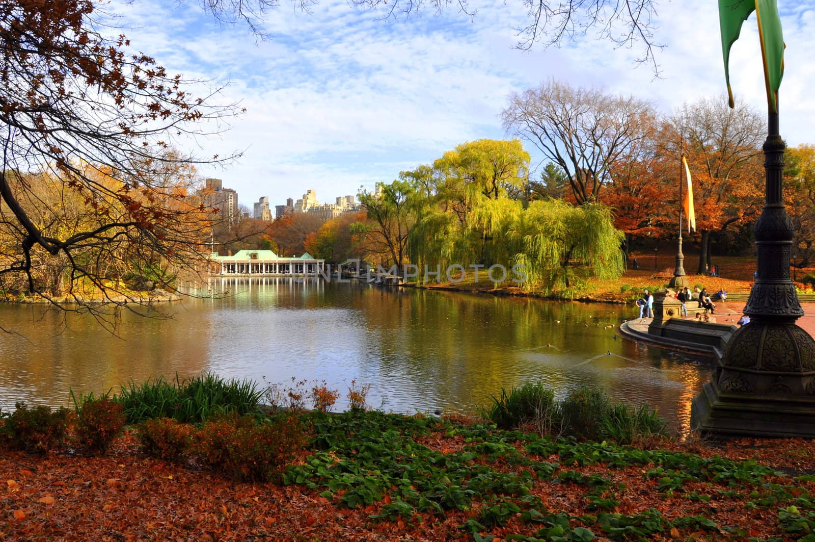 The lake in Central Park, NY.