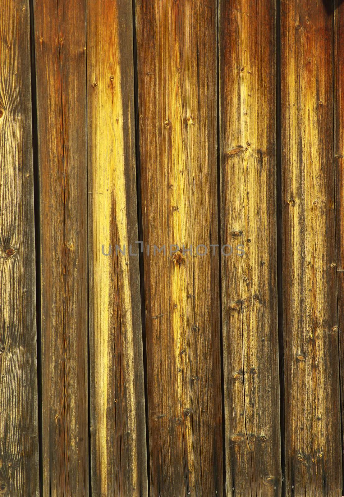  brown wood texture with a natural patterns