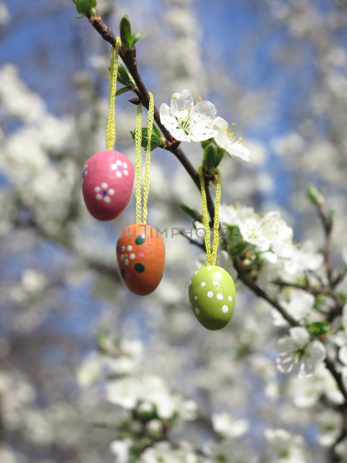 Some colourful easter eggs hanging at branches