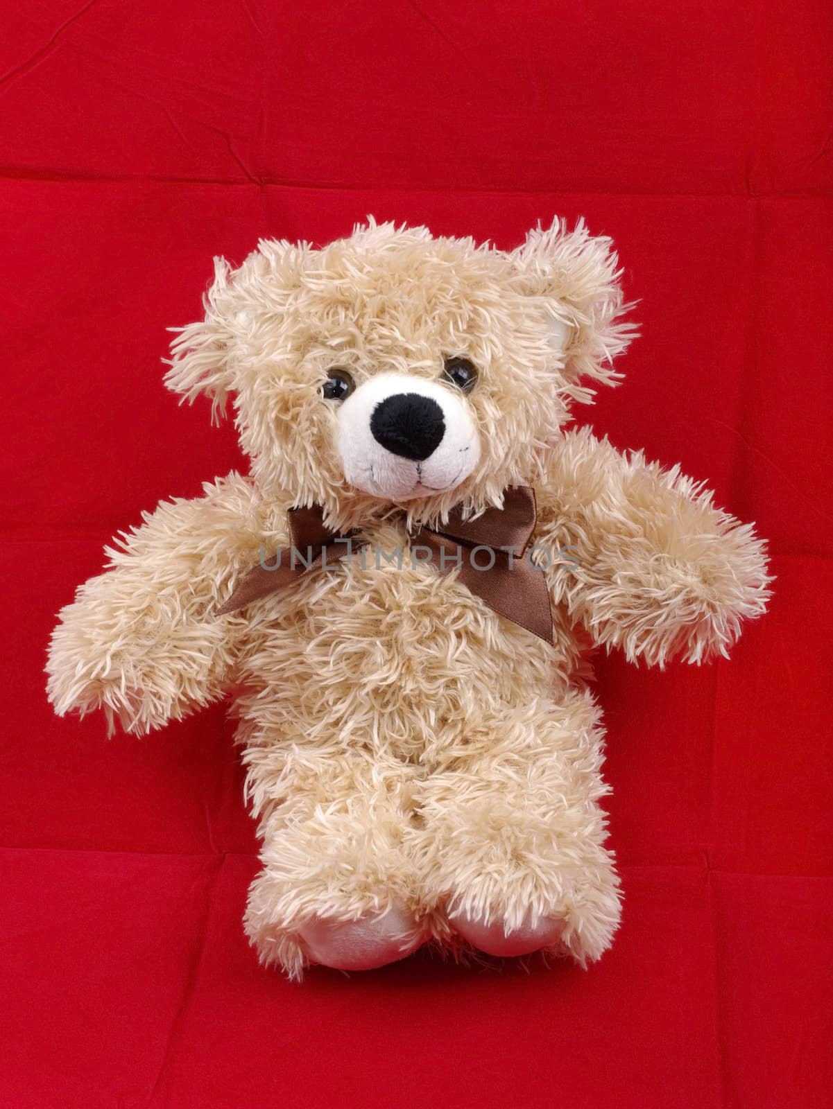 Brown bear toy isolated on red background with shadow. by borodaev