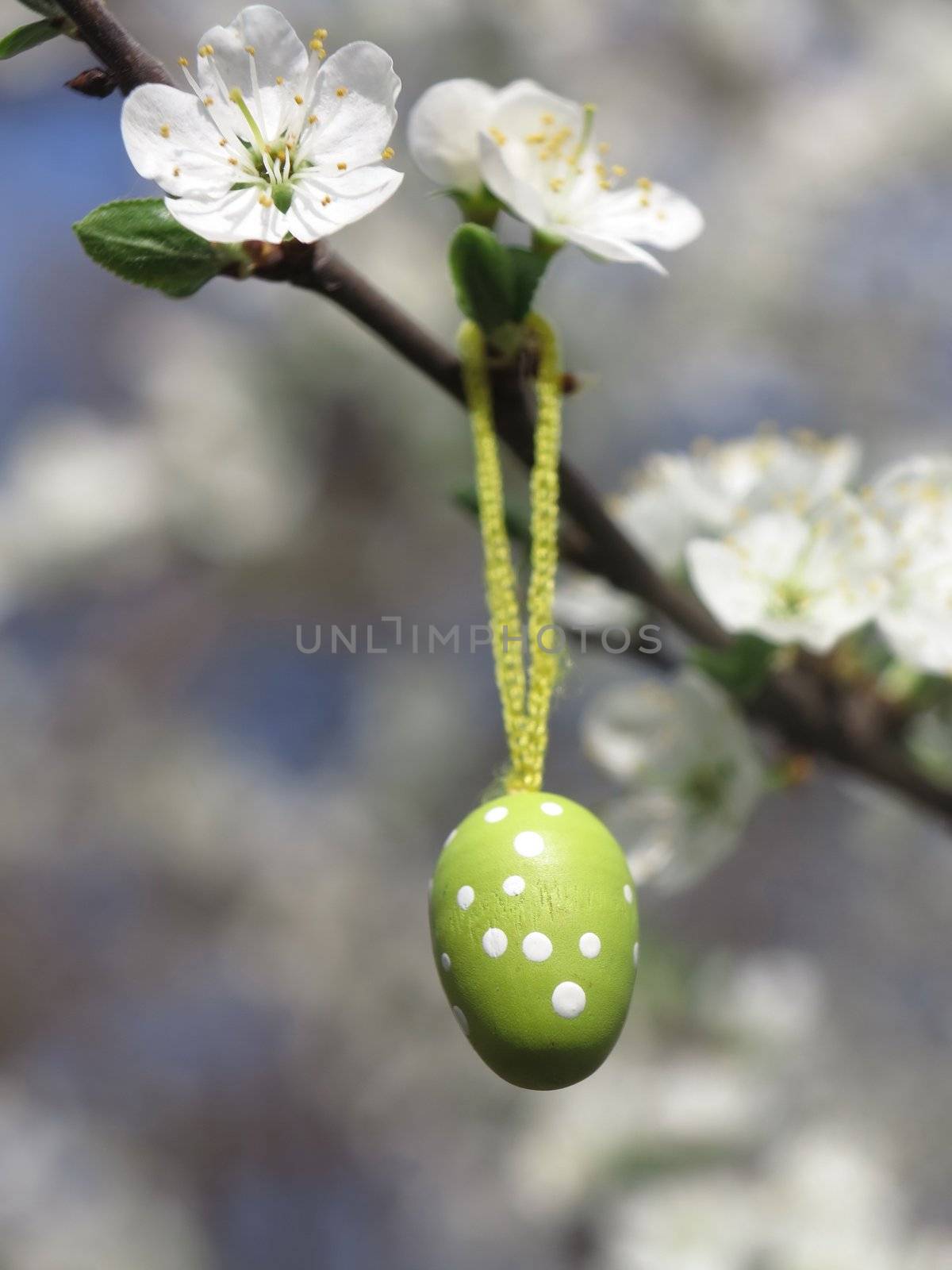 Easter Tree egg by yucas
