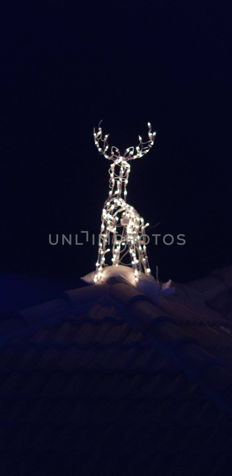 Lighted Reindeers for Christmas by toliknik