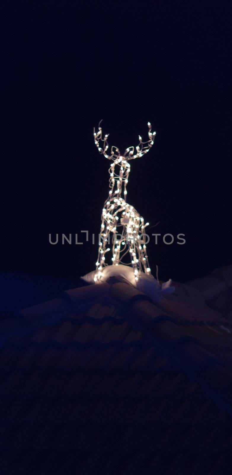 Image of Christmas decoration in the form of reindeers at night