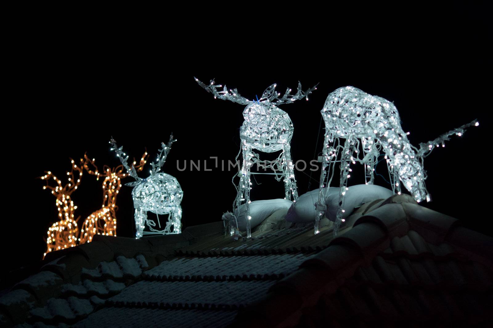 Image of Christmas decoration in the form of reindeers at night