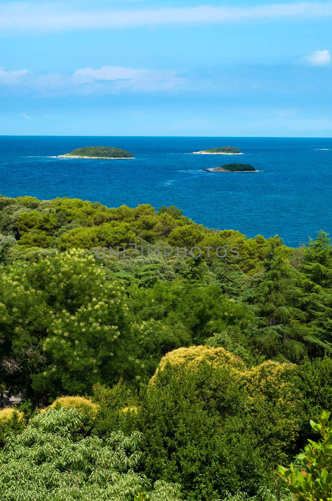 Vegetation Mediterranean sea and three islands at Vrsar - Croatia