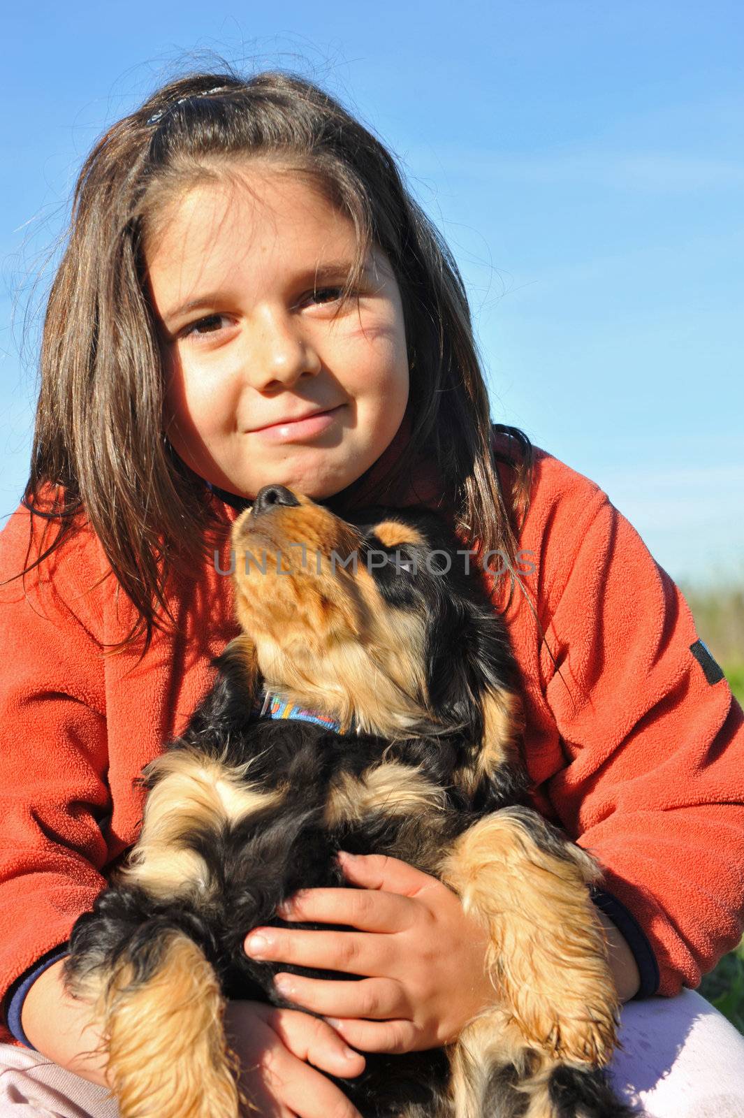 portrait of a puppy purebred english cocker with little girl