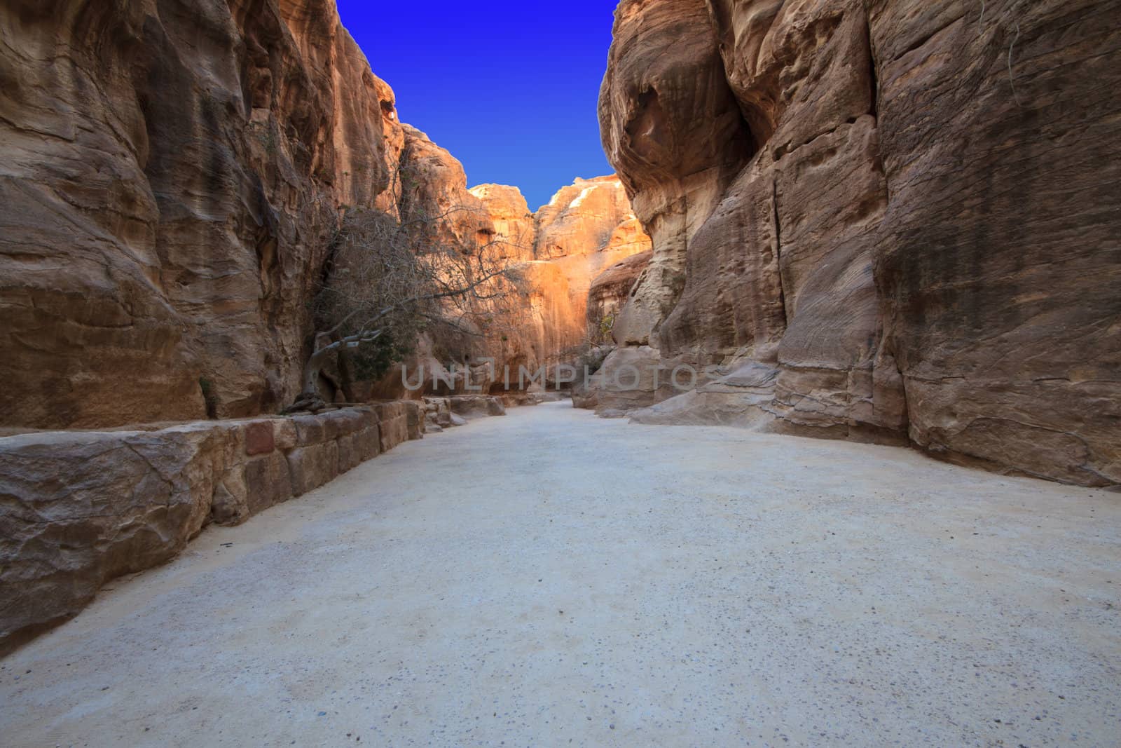 As-Siq Petra, Lost rock city of Jordan.  UNESCO world heritage site and one of The New 7 Wonders of the World.