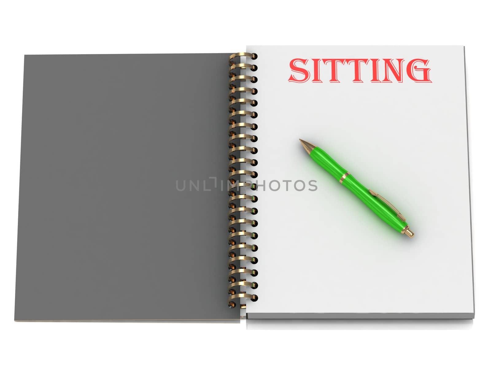 SITTING inscription on notebook page and the green handle. 3D illustration isolated on white background