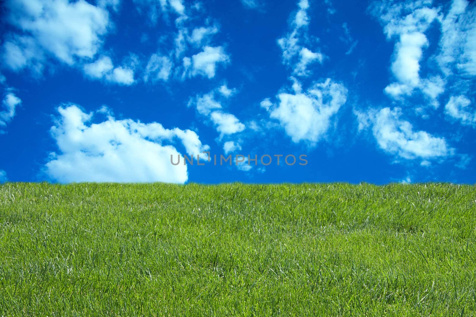 blue cloudy sky and green grass by GunterNezhoda