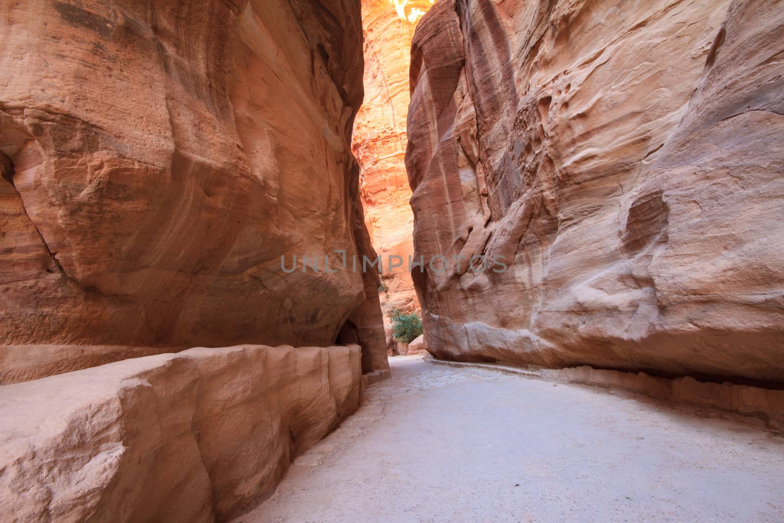 As-Siq Petra, Lost rock city of Jordan.  UNESCO world heritage s by thanomphong