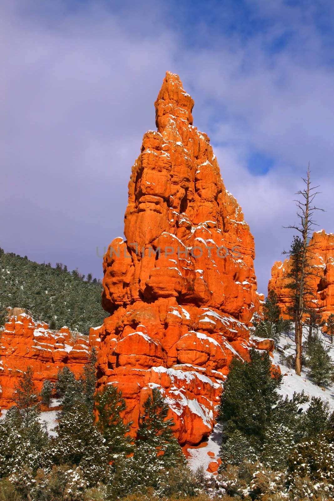 Red Canyon in Dixie National Forest by Wirepec