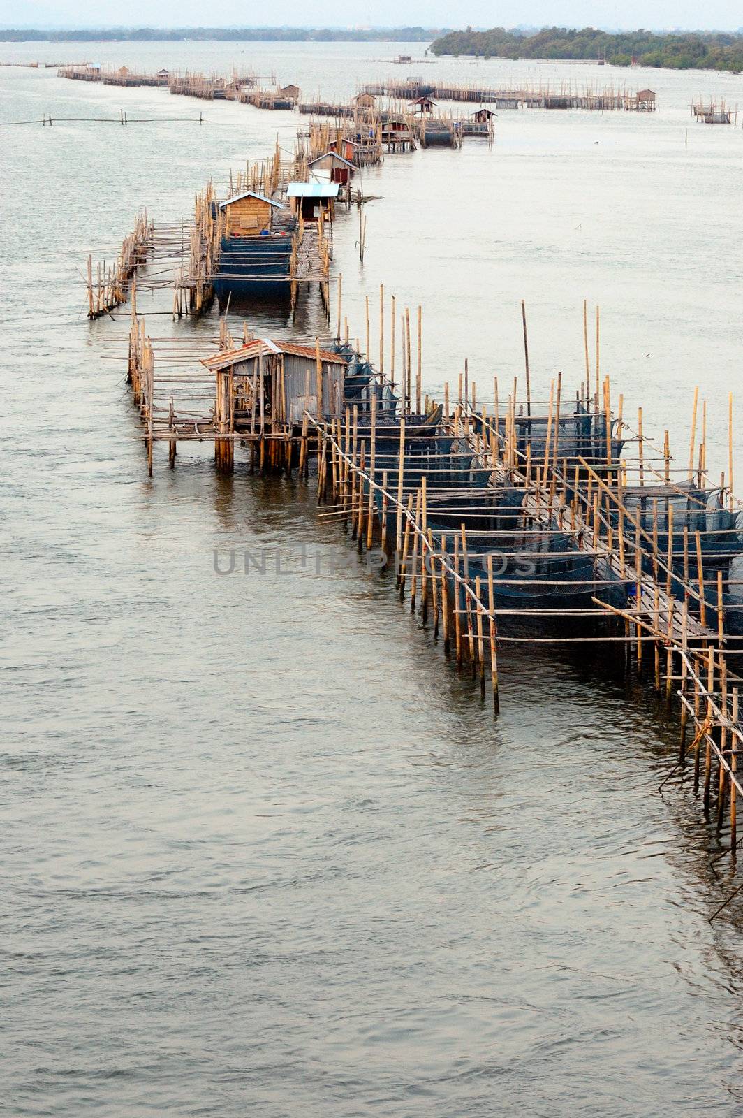 Aquaculture fishery pond in entrance river, Chanthaburi Thailand.