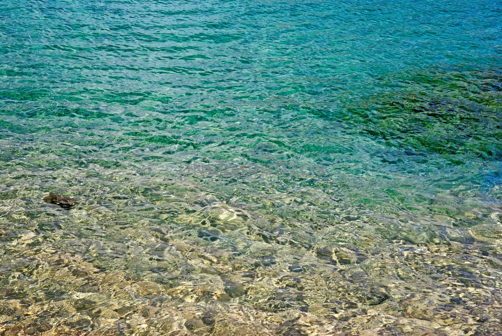 Turquoise shiny sea water on a sunny day near the shore.