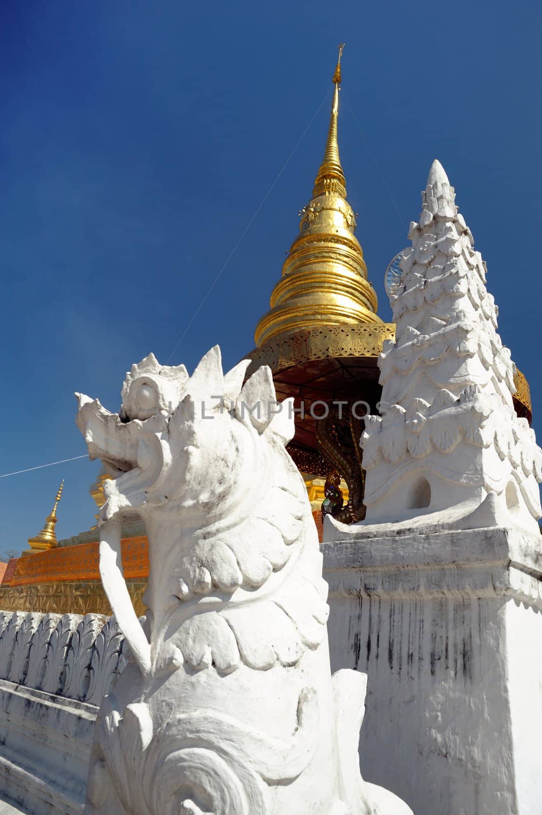 The white stone lions. Situated in front of the pagoda sunny day.