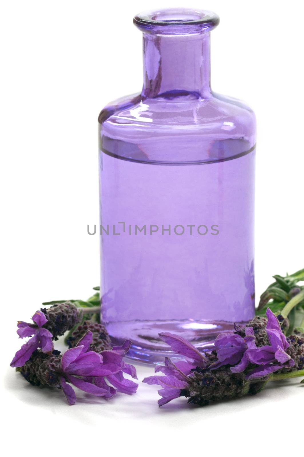 Spa concept with aromatic lavender and massage oil