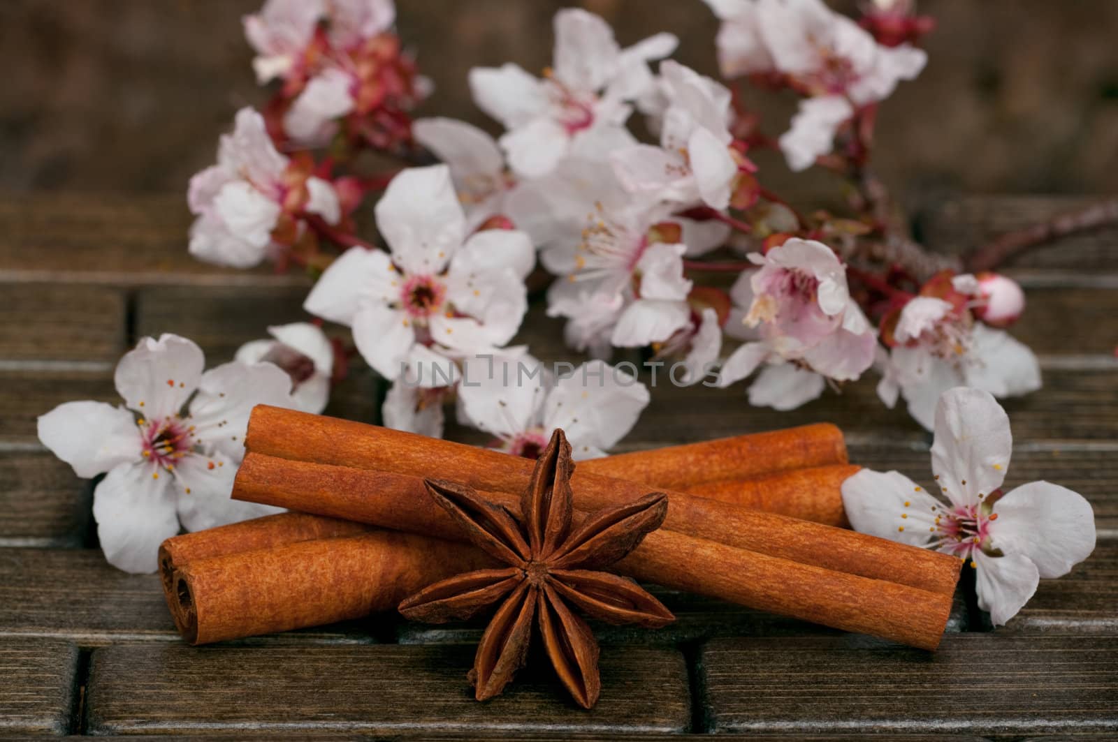 Aromatic spices, anise and cinnamon sticks with cherry blossoms