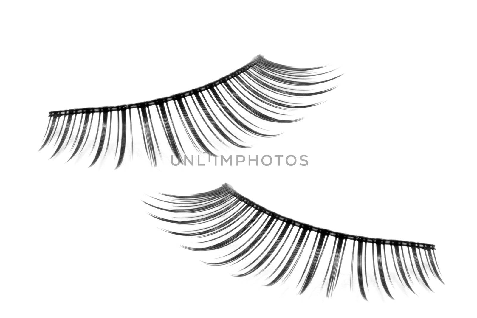 pair of fake false eyelash isolated on white