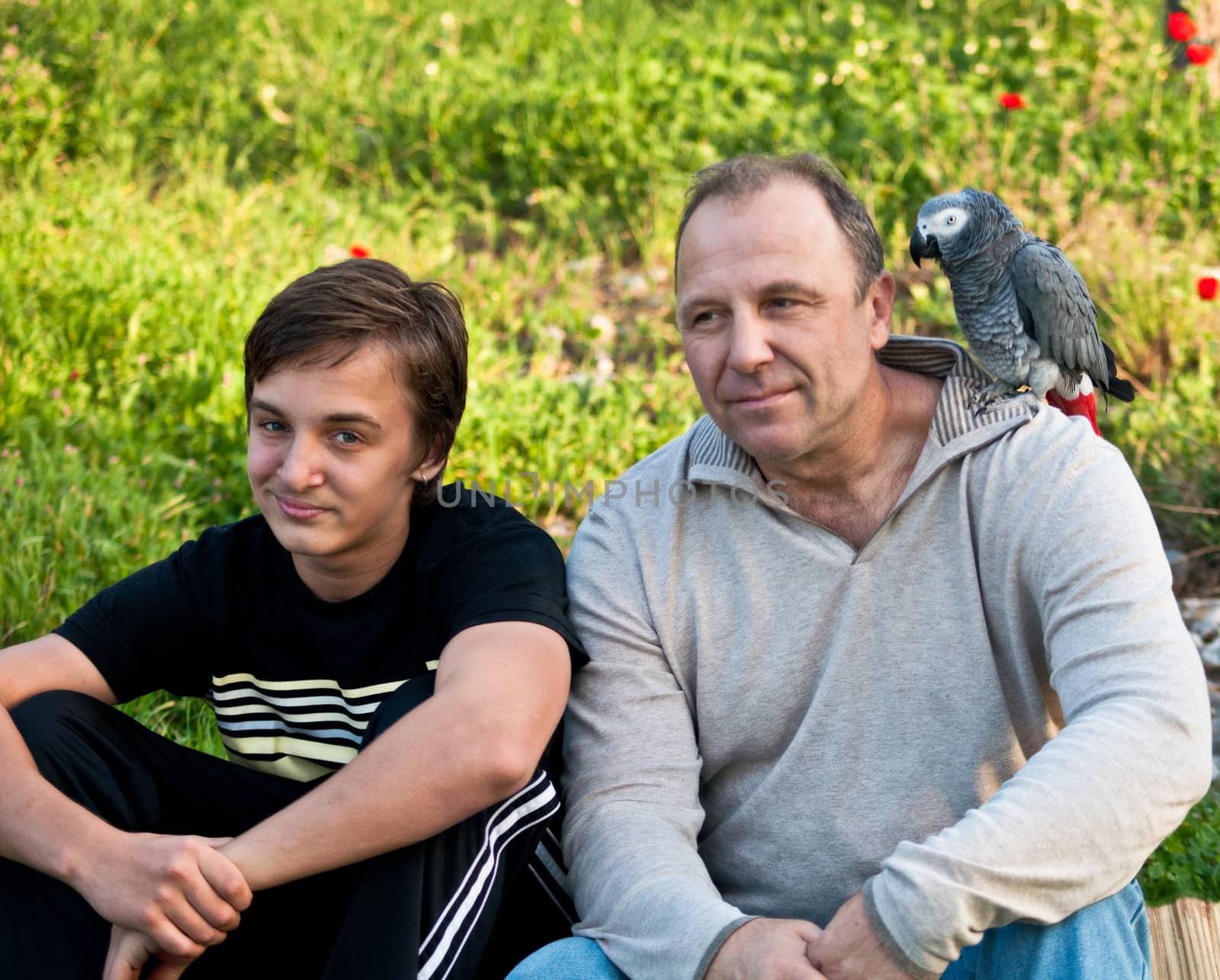 Portrait of a boy teenager and his father with a gray parrot Jaco.