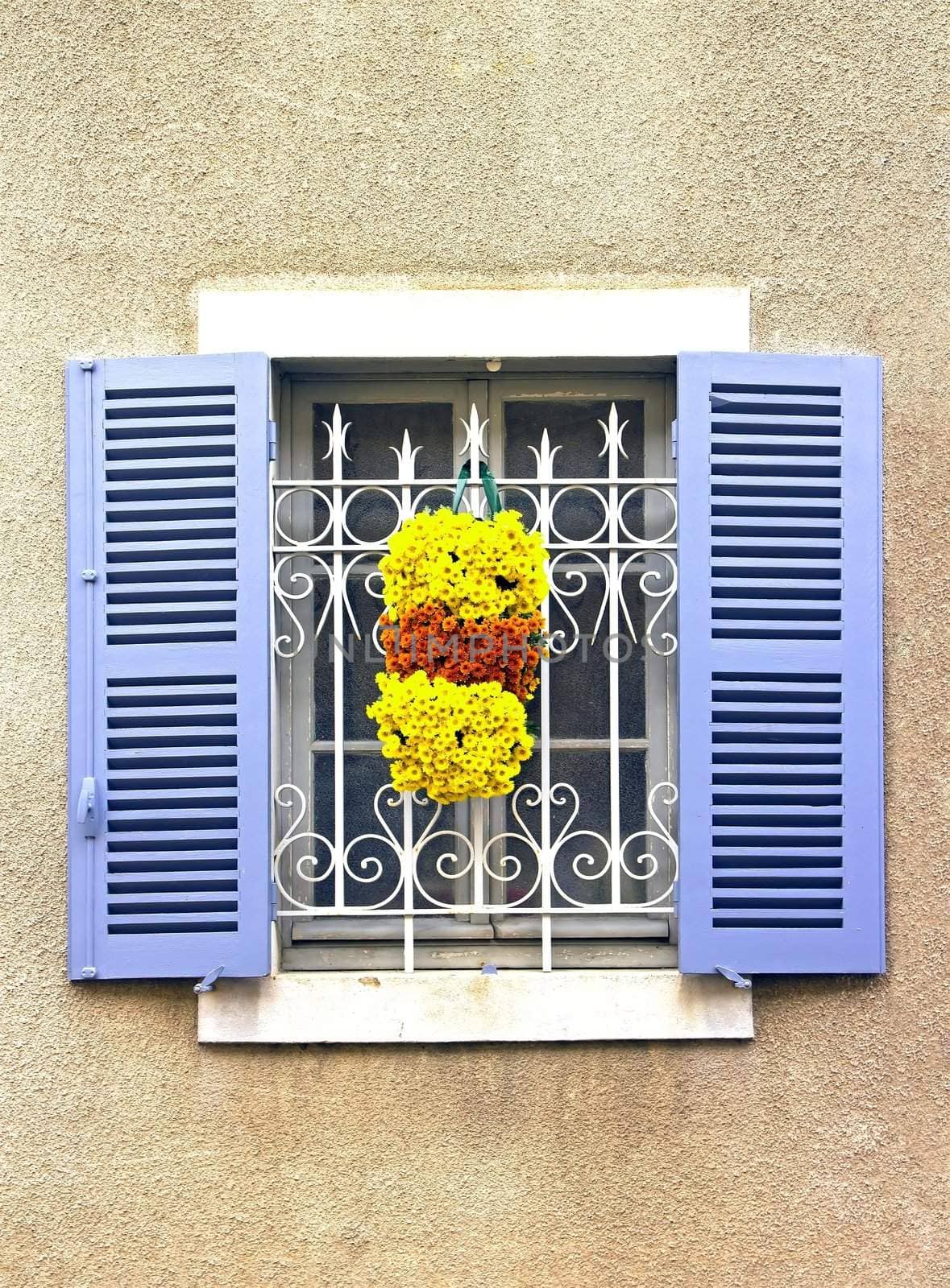 window decorated with hydrangeas in France during the autumn