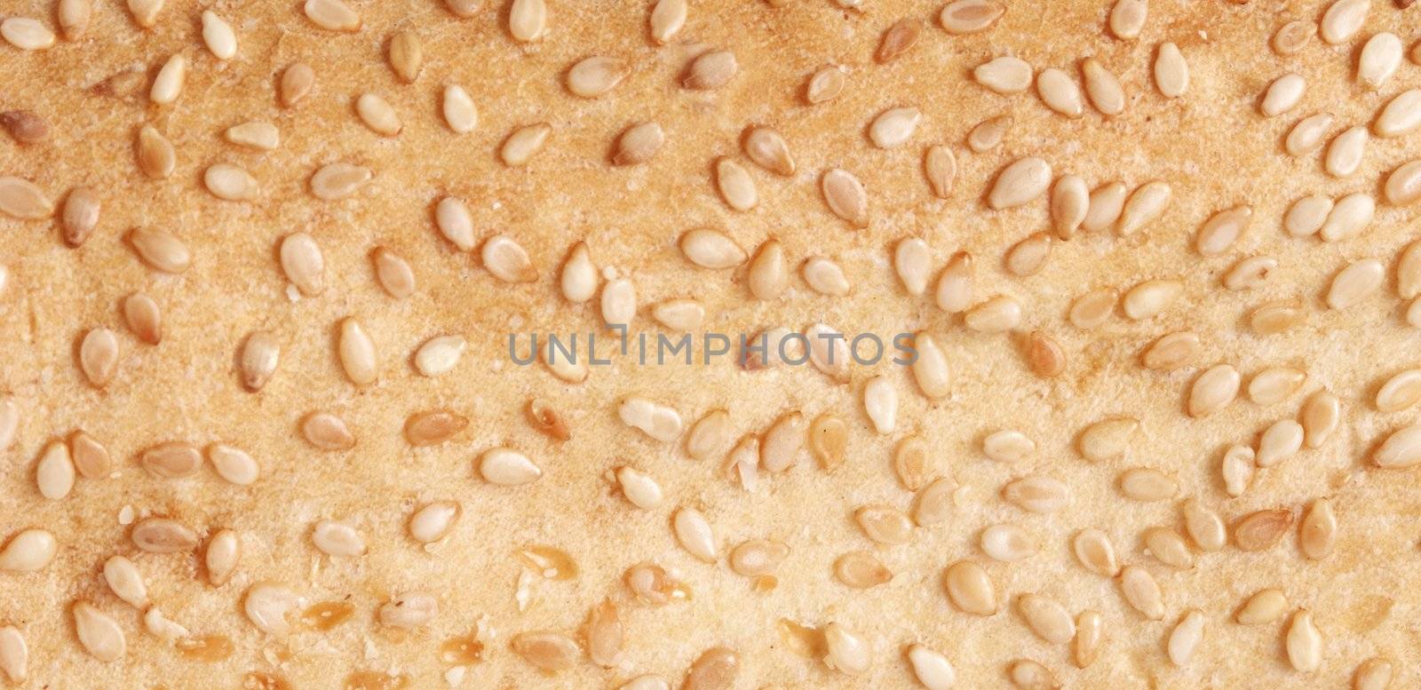 Sesame seeds horizontal background close up food