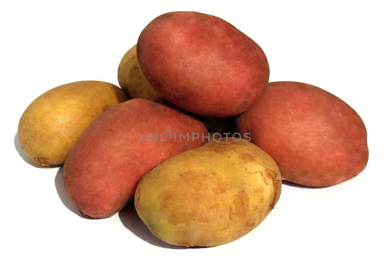 Fresh white and red potatoes on a white background