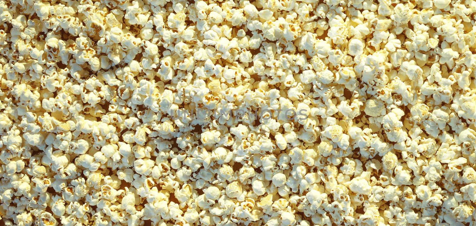 Pop corn maize useful as a background