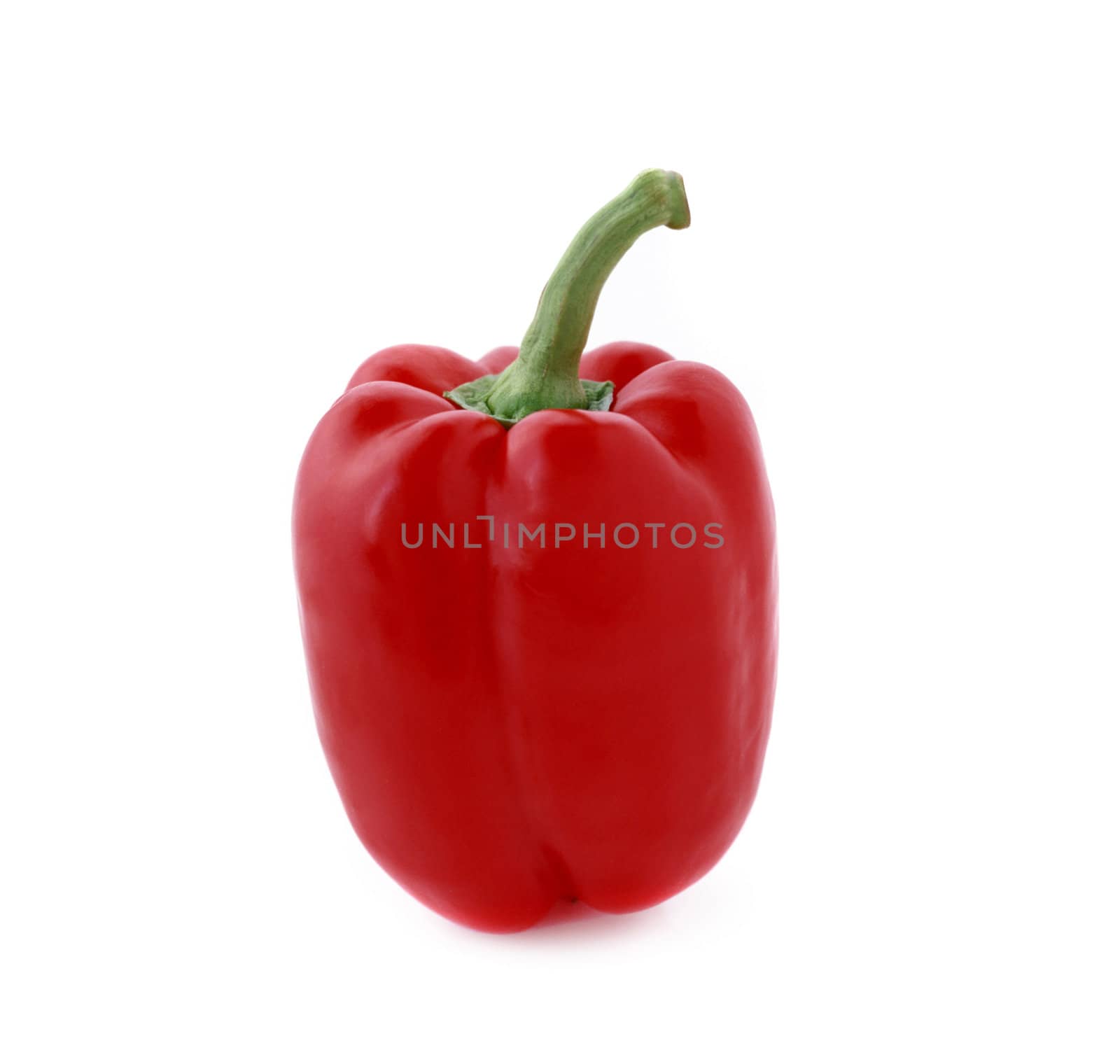 pepper isolated on white background