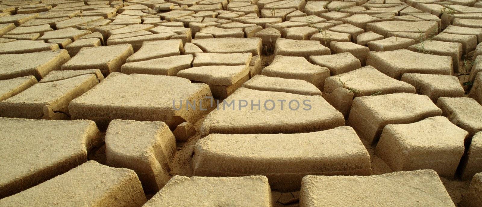 Dry and cracked mud in dried up waterhole