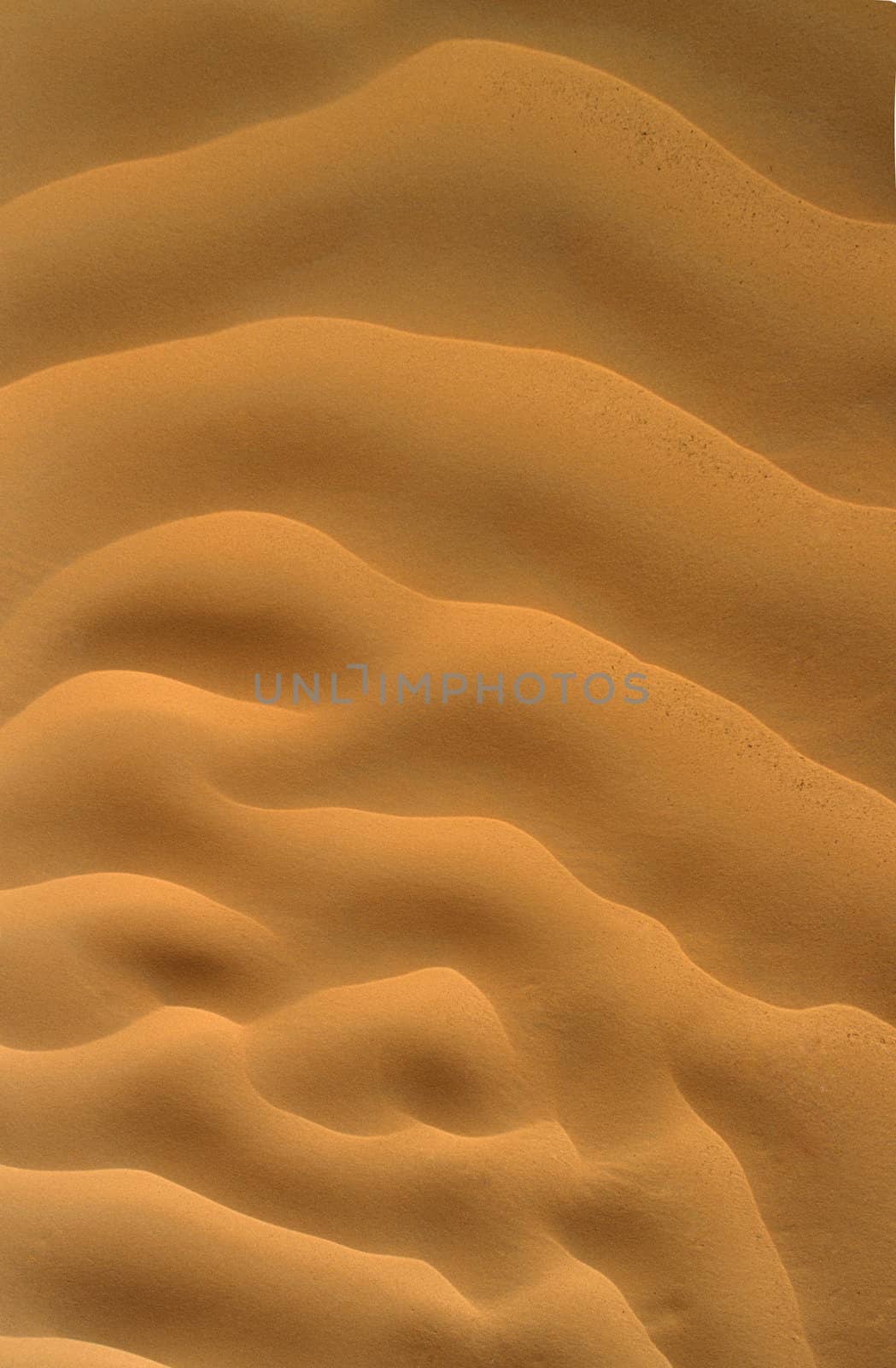 close up view beach sand background isolated