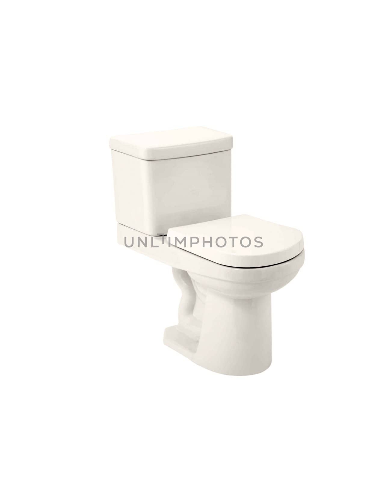 toilet bowl, photo on the white background