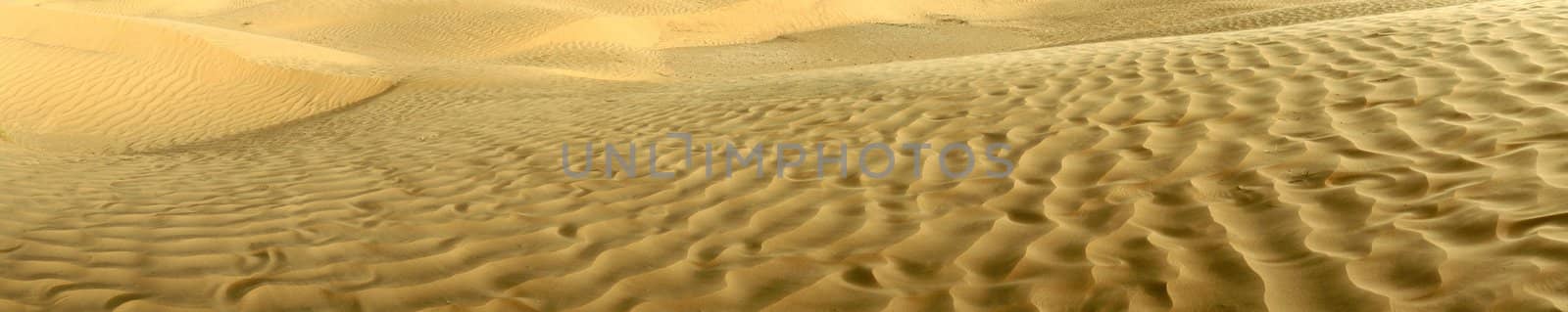 beautiful sand background close up isolated yellow
