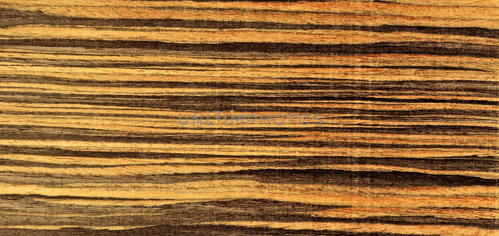 Wood texture close-up background by ozaiachin