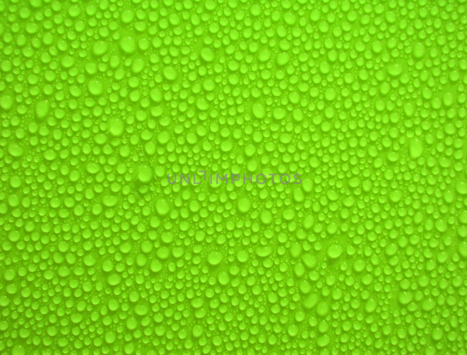 water drops on green background and texture