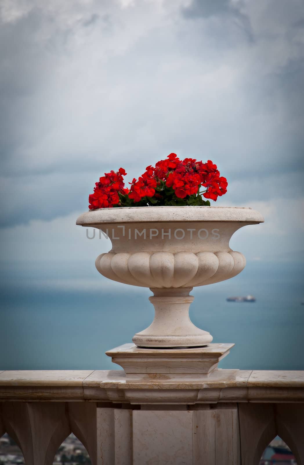  Vase with flowers by LarisaP