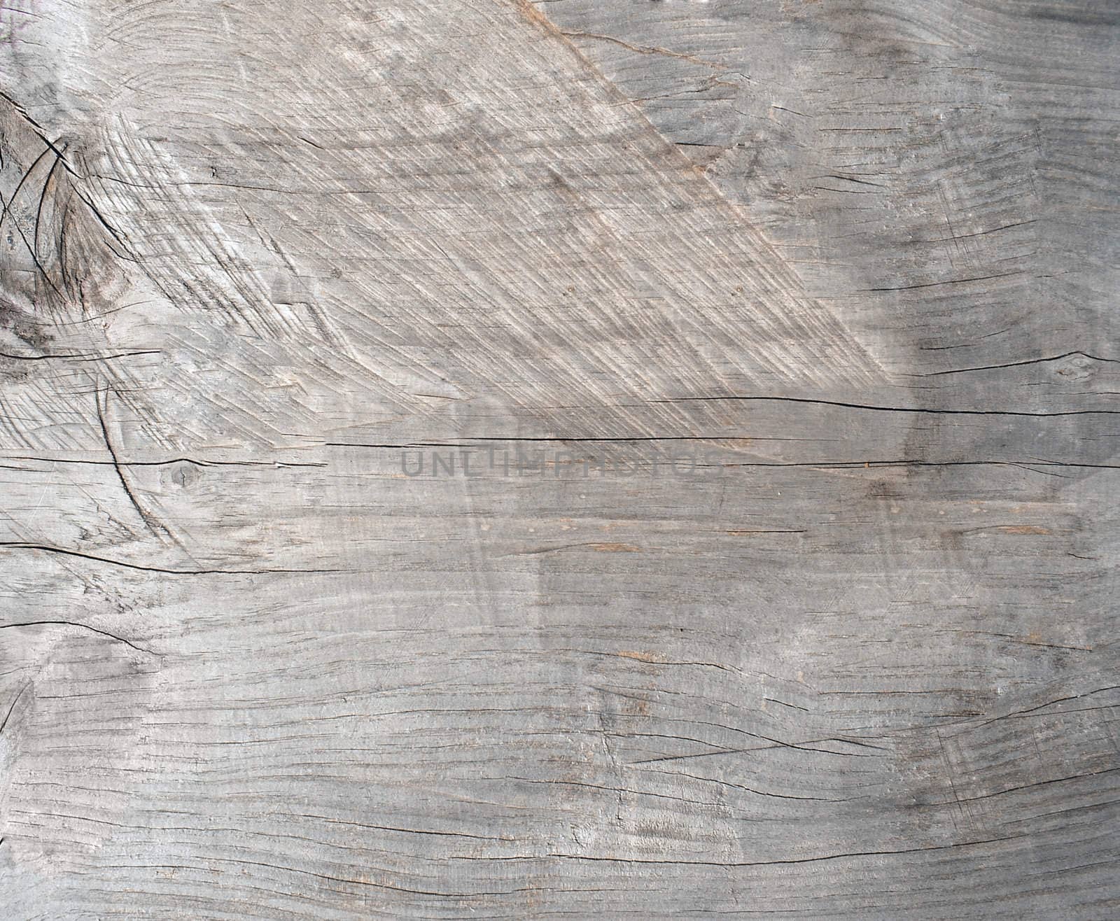 Wooden cut texture and can be used as background